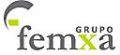 Grupo Femxa