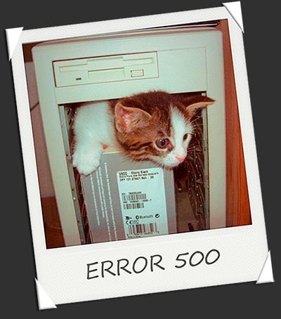 error 500