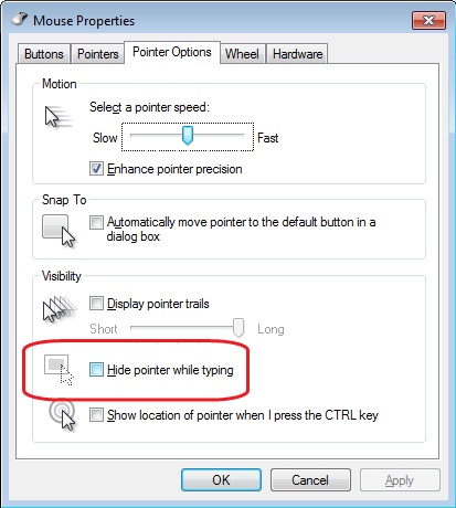 Solución al problema del cursor desaparecido en máquinas virtuales